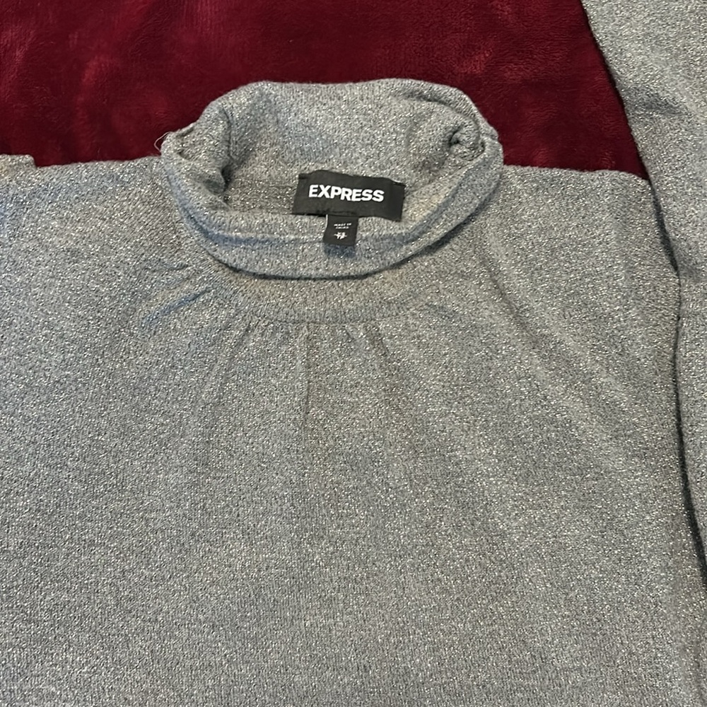 XS - Express brand sparkly silver high neck sweater